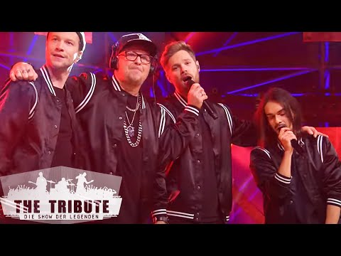 Vier gewinnt mit &quot;Zusammen&quot; von den Fantastischen Vier | The Tribute | SAT.1